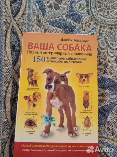 Кинология, дресс-ка. Лабрадор, немецкая овчарка