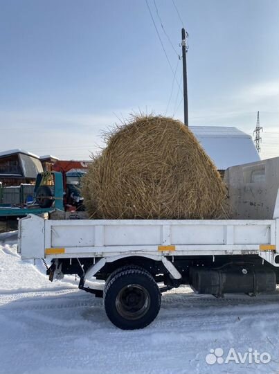 Продам солому в тюках