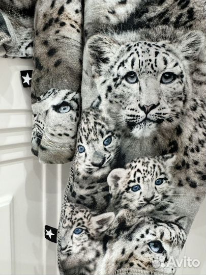 Костюм molo 68