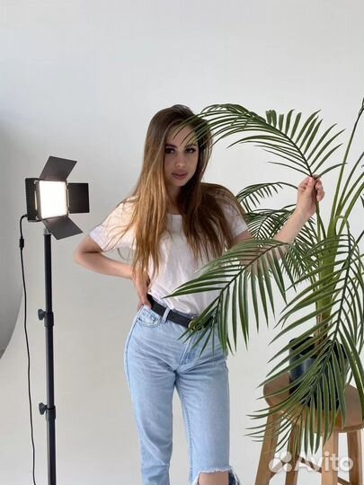 Видеосвет студийный профессиональный в наличии