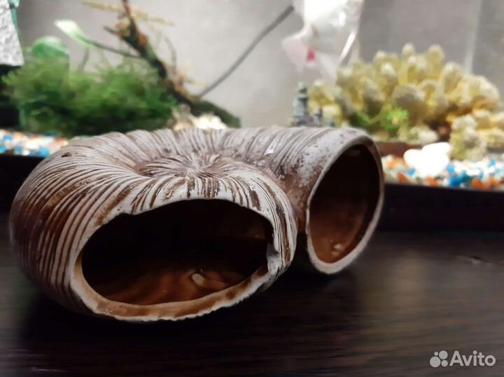 Грот для аквариума