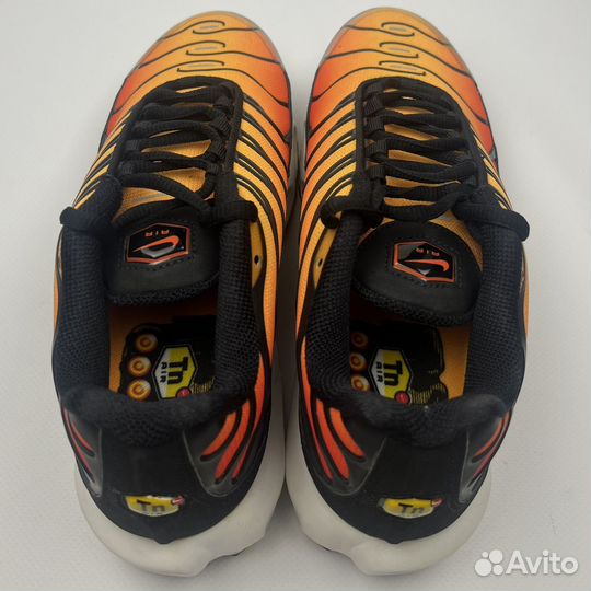 Кроссовки Nike Air Max Plus Sunset