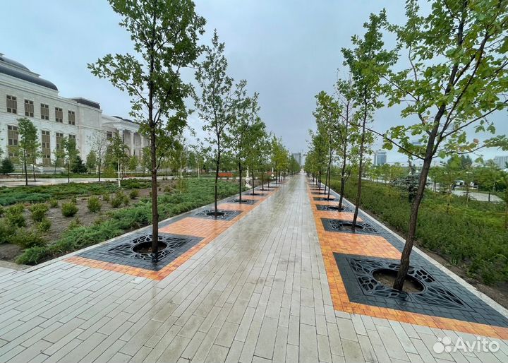 Приствольная решетка