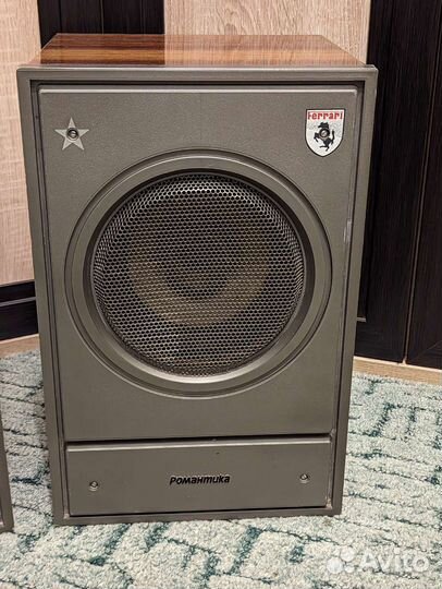 Колонки романтика 10ас-207