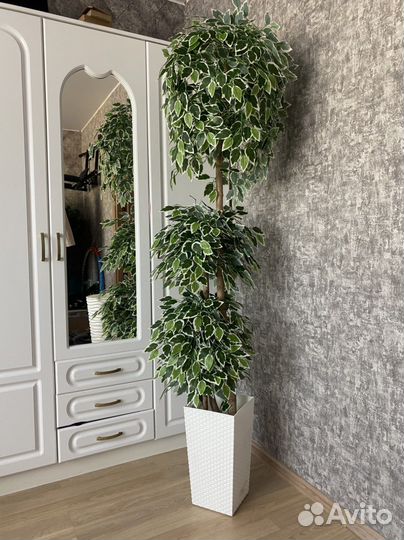 Искусственные Пальмы, фикусы, деревья в кашпо