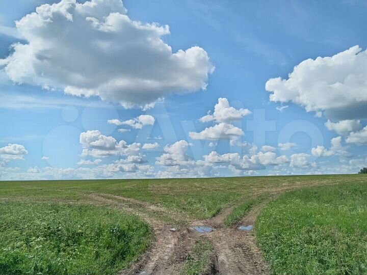 Участок 5,2 га (СНТ, ДНП)