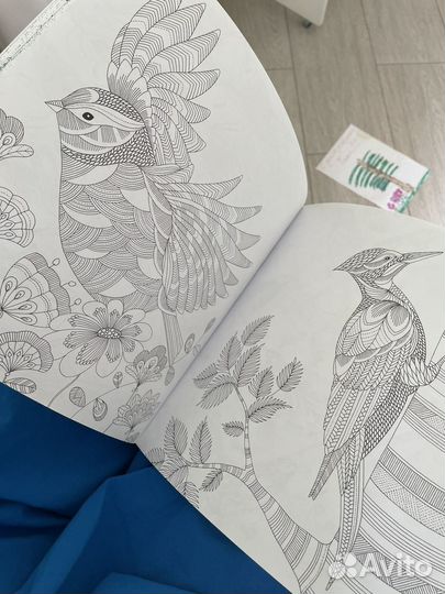 Раскраска антистресс