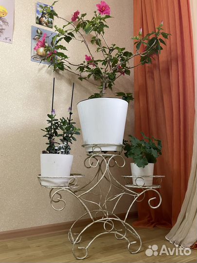 Подставка для цветов напольная кованная самовывоз