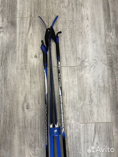 Горные лыжи