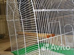 Клетка для попугаев