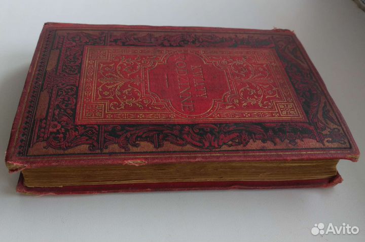 Kwiaty rodzinne. 1894