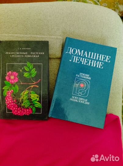 Лекарственные растения травы ягоды грибы