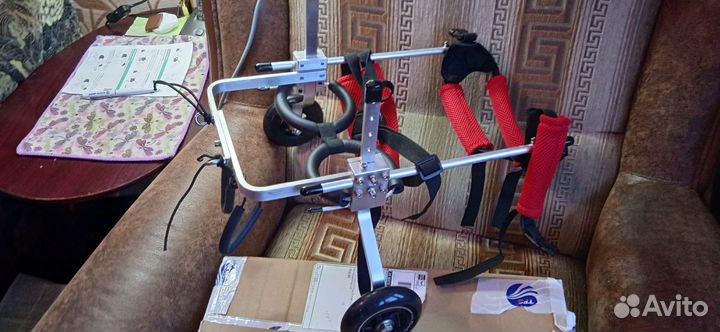 Коляска для собак инвалидов