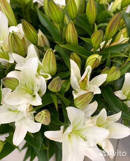 Букет из лилий