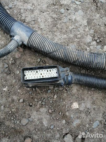 Жгут электропроводки двигателя Scania 4-series