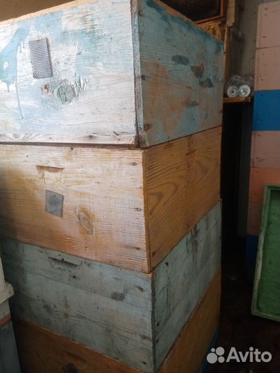 Сушь. Корпуса