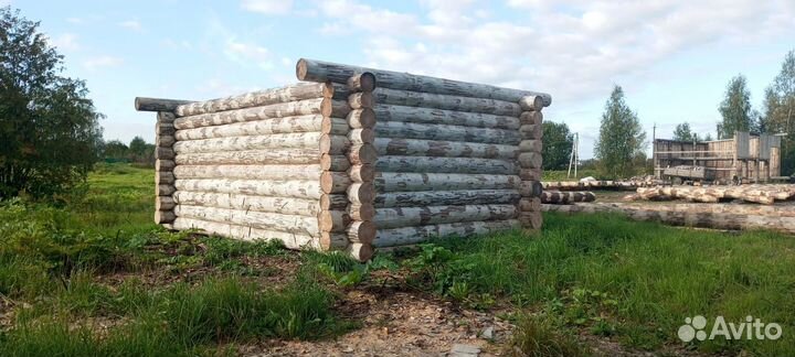 Сруб бани 46