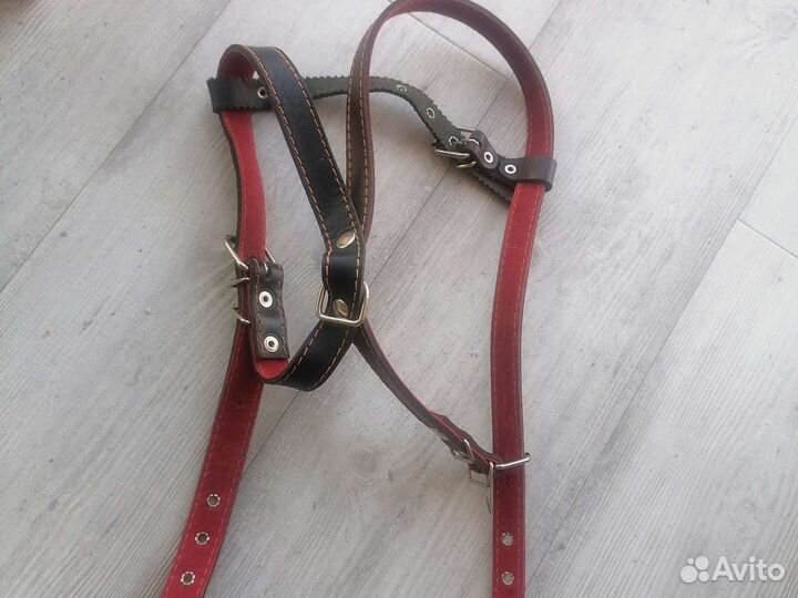 Шлейка для большой собаки