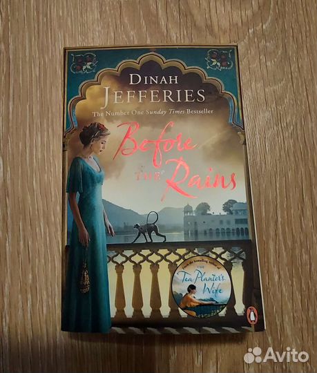 Jefferies Before the Rains книга на английском