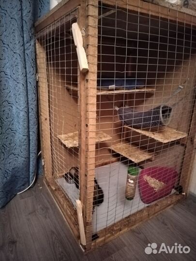 Хорек с клеткой