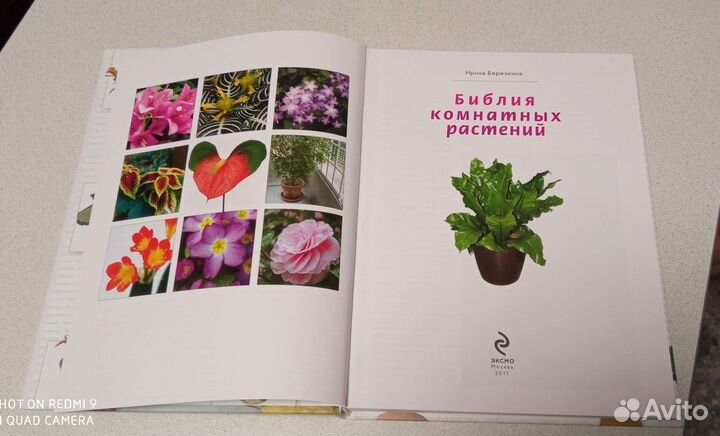 Библия комнатных растений