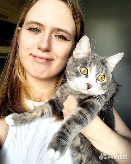 Продавец консультант