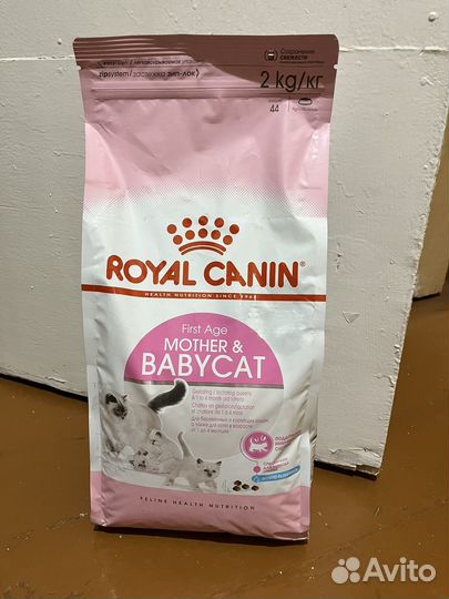 Корм для котят и беременных кошек