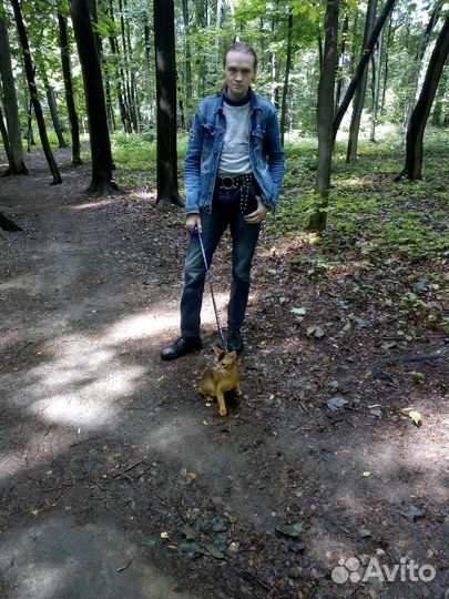 Сантехник Частник