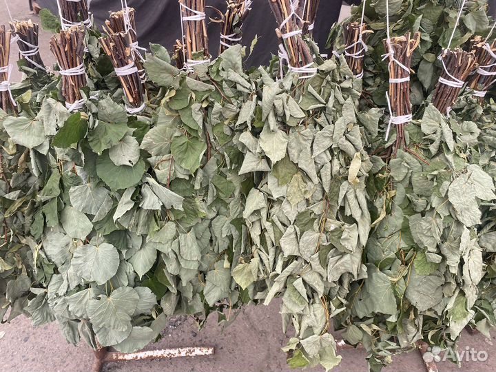 Веники для бани