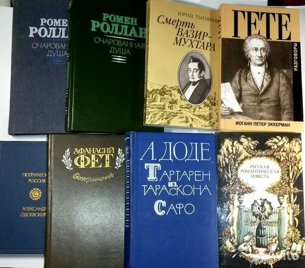 Книги русских и зарубежн.авторов(Доде,Гете,Фет