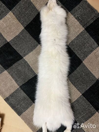 Шкура песца дл 60 см,хвост 5 см