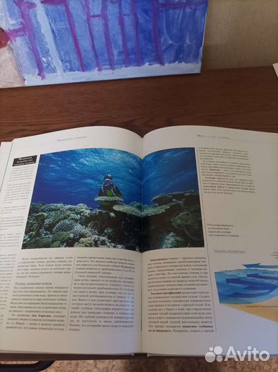 Книга Подводное плавание Алан Маунтин