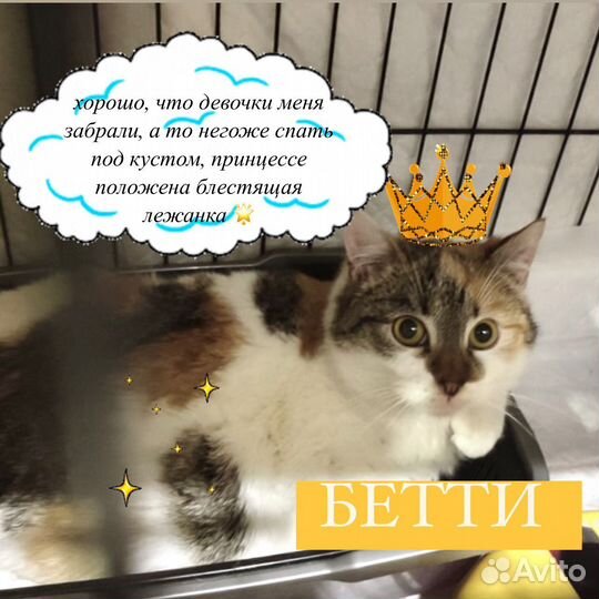 Бэтти в дар