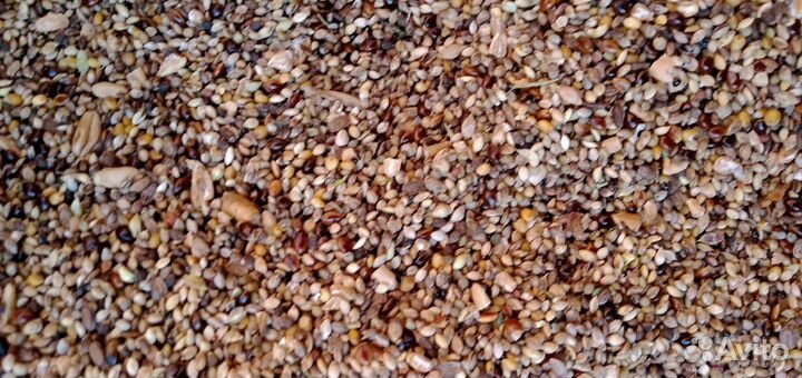 Отходы корма для животных и птицы