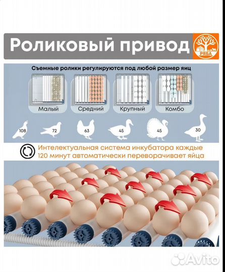 Инкубатор Ряба-64