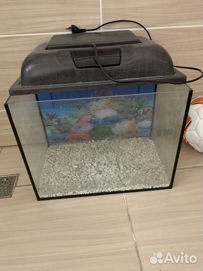 Аквариум
