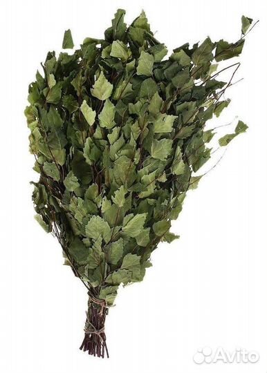 Веник берёзовый