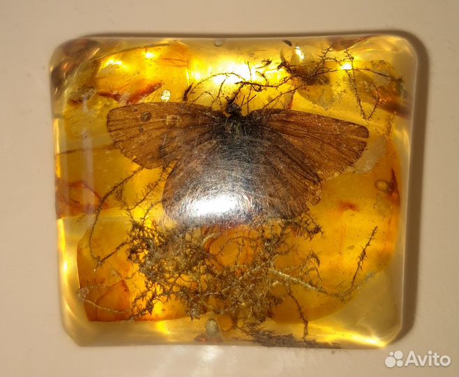 Насекомые в эпоксидной смоле. Винтажная штучка