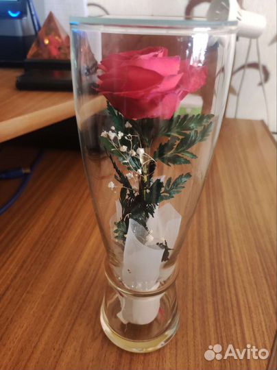 Живая роза в колбе