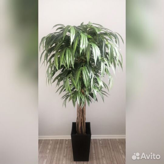 Искусственное дерево манго