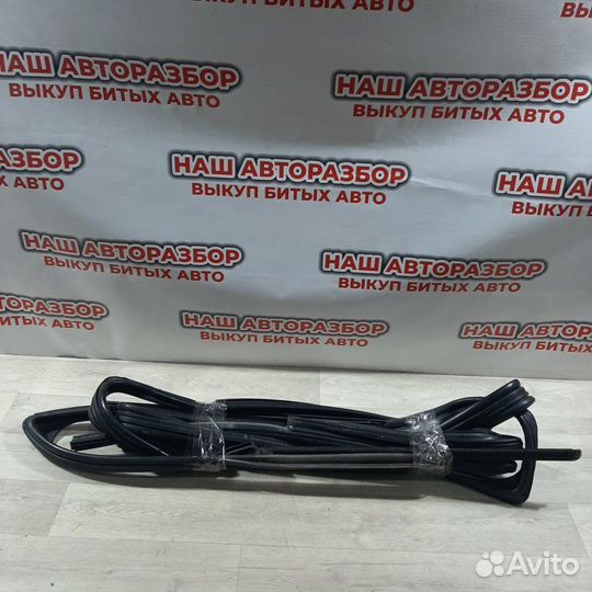 Уплотнитель стекла двери Renault Sandero 2013