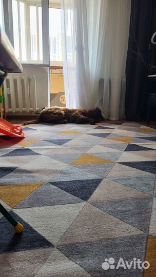 Продам ковер бу