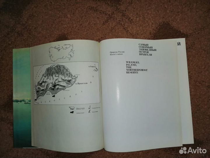 Самый северный заповедный остров Врангеля Альбом