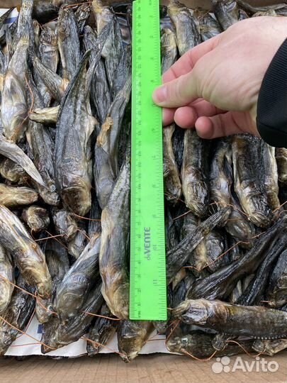 Бычок вяленый азовский, калкан вяленый азовский