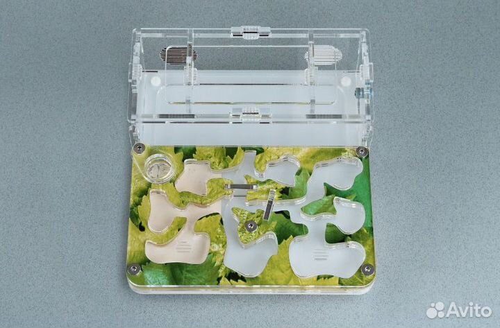 Муравьиная ферма