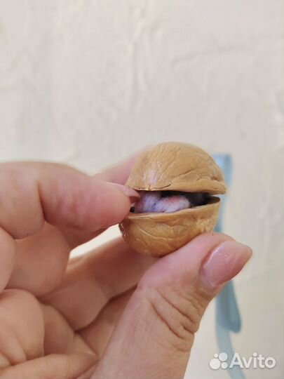 Дракончик - сюрприз в орехе, символ года 2024