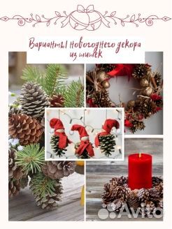 Шишки сосновые отборные 150 штук в коробке