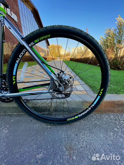 Mongoose selous sport