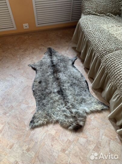 Шкура натуральная редкая 127на70 см