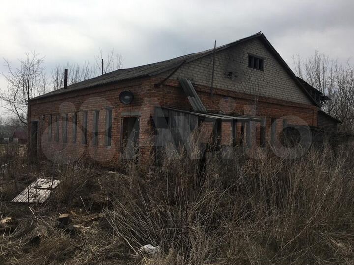 Участок 51 сот. (СНТ, ДНП)